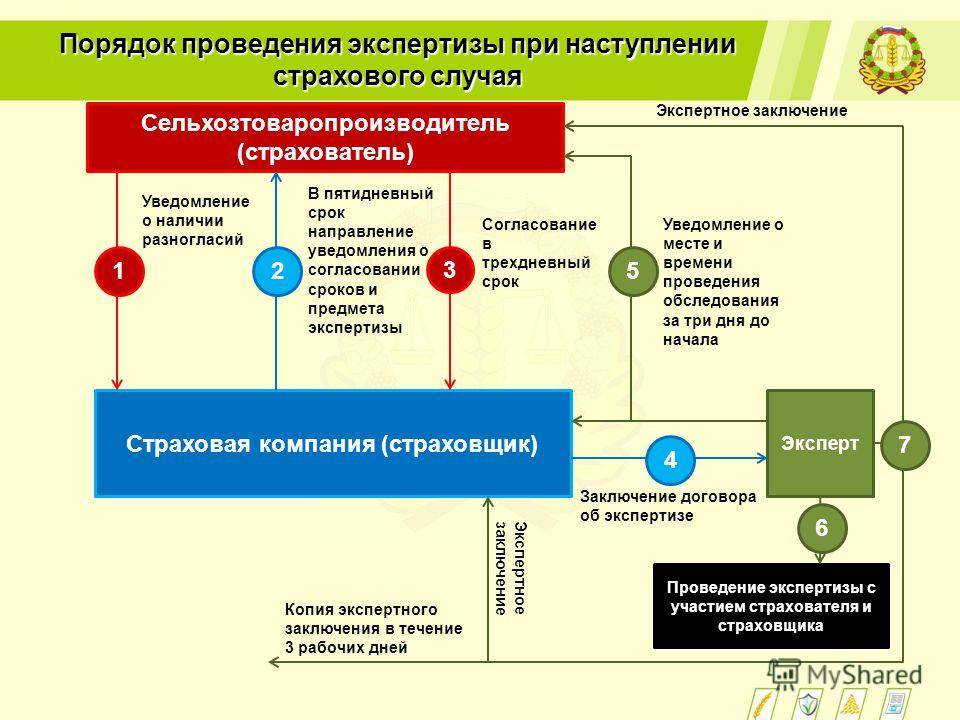 Страхование от пожара в 2021 году: условия и подводные камни