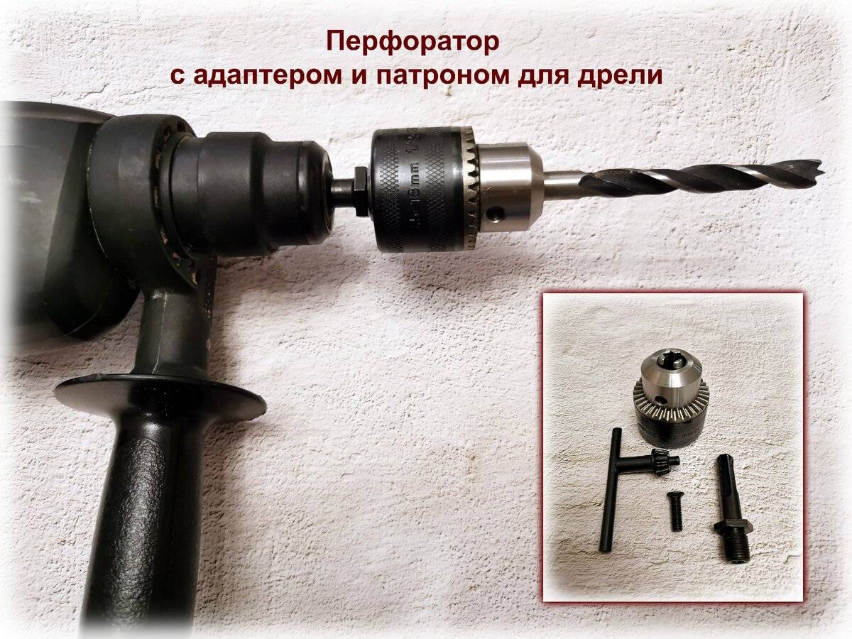 Интересные факты из жизни