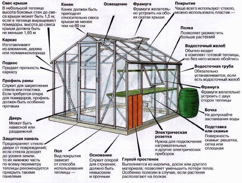 Деревянная теплица своими руками - строительство на даче