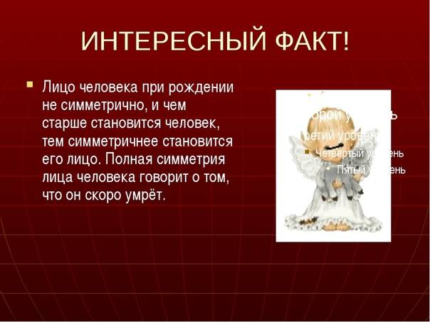 Необычные факты о молотках