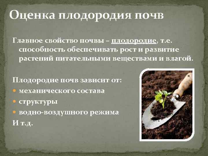 Рекомендации по проведению агрохимического анализа почвы