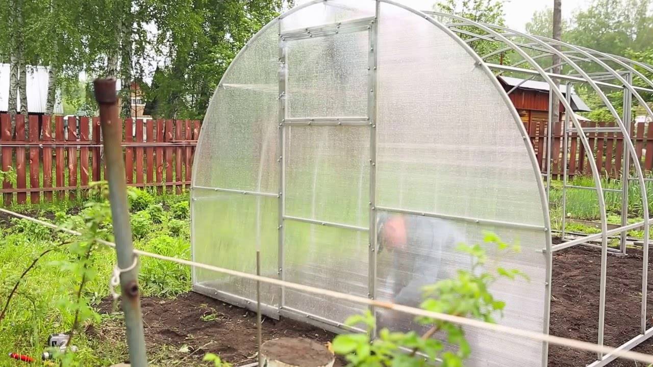 На что поставить теплицу из поликарбоната: инструкция по сборке