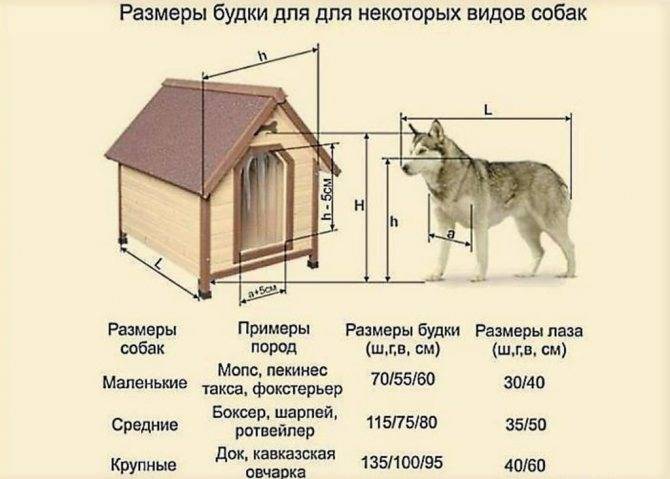 Размер будки для алабая. будка для алабая своими руками