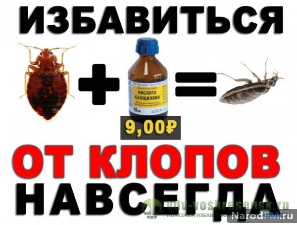 Что делать, когда клопы в доме? Откуда они берутся и как избавиться навсегда в домашних условиях: Советы и устранение