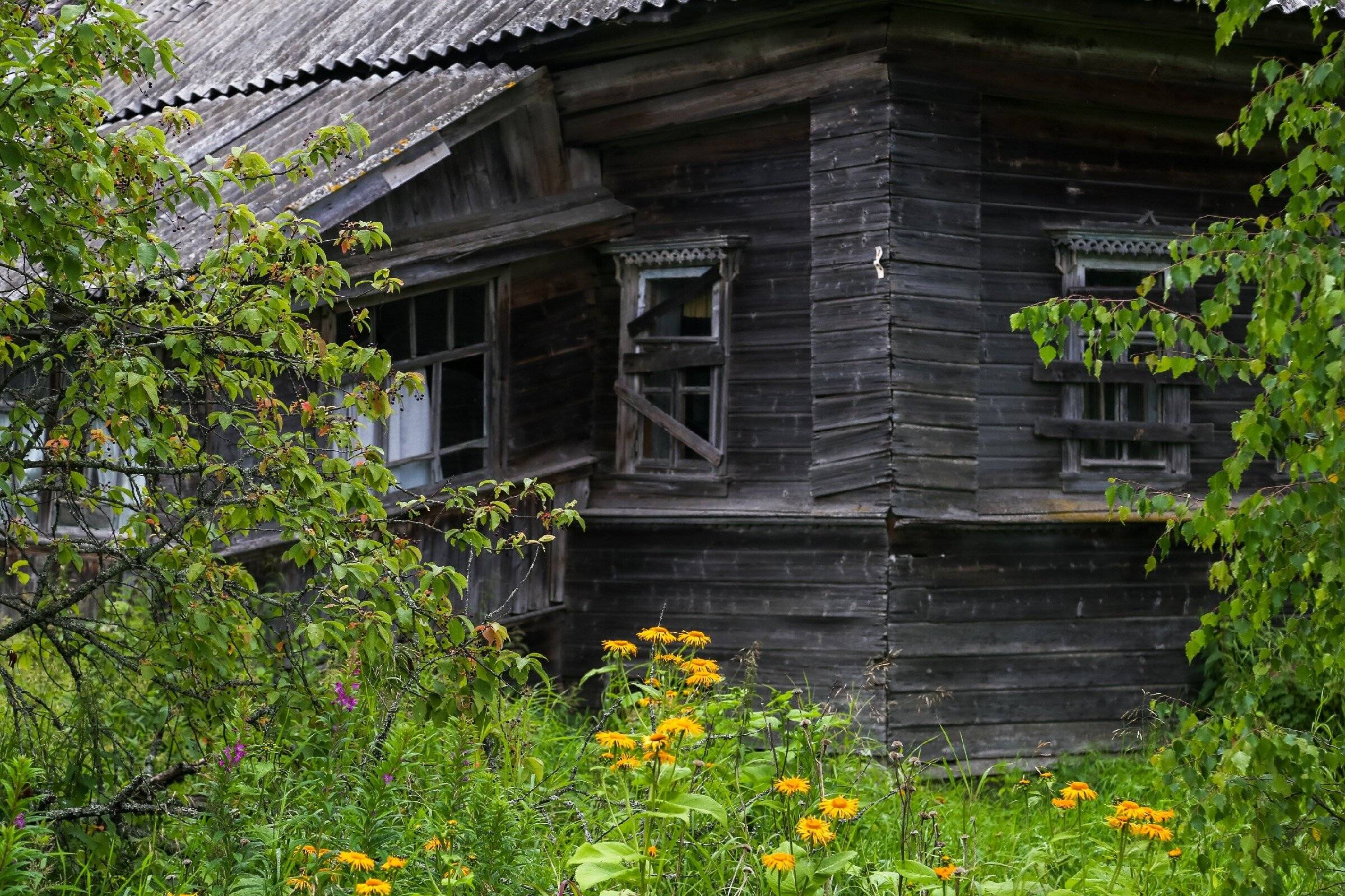 Заброшенные деревни подмосковья: боль для страны и рай для туристов :: syl.ru