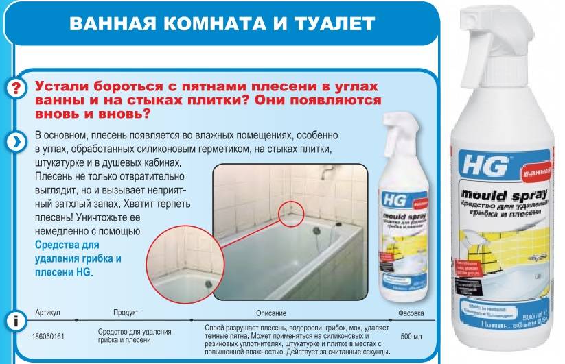 Чем опасна черная плесень в доме для организма человека и как от неё избавиться: советы