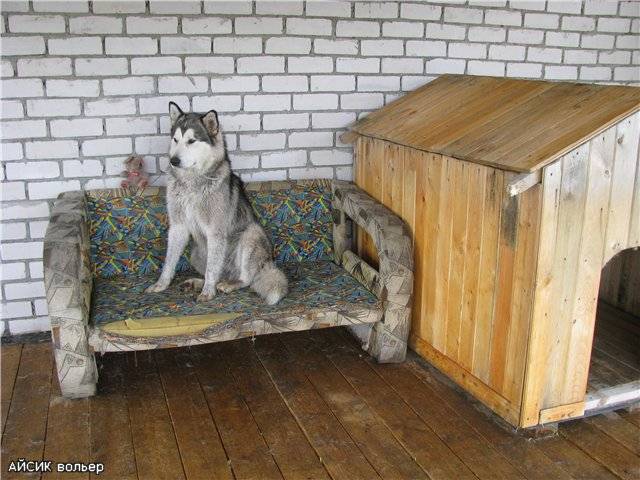 Вольер для хаски
вольер для хаски