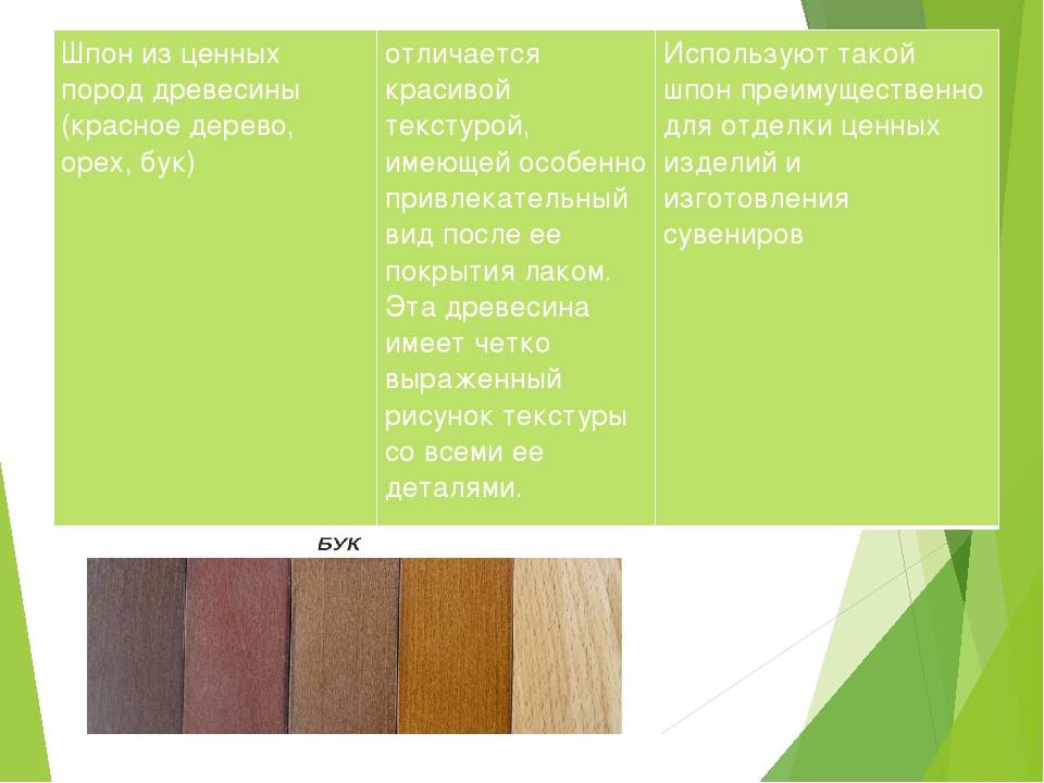 Мебель из бука, какой может быть и как выбрать качественную