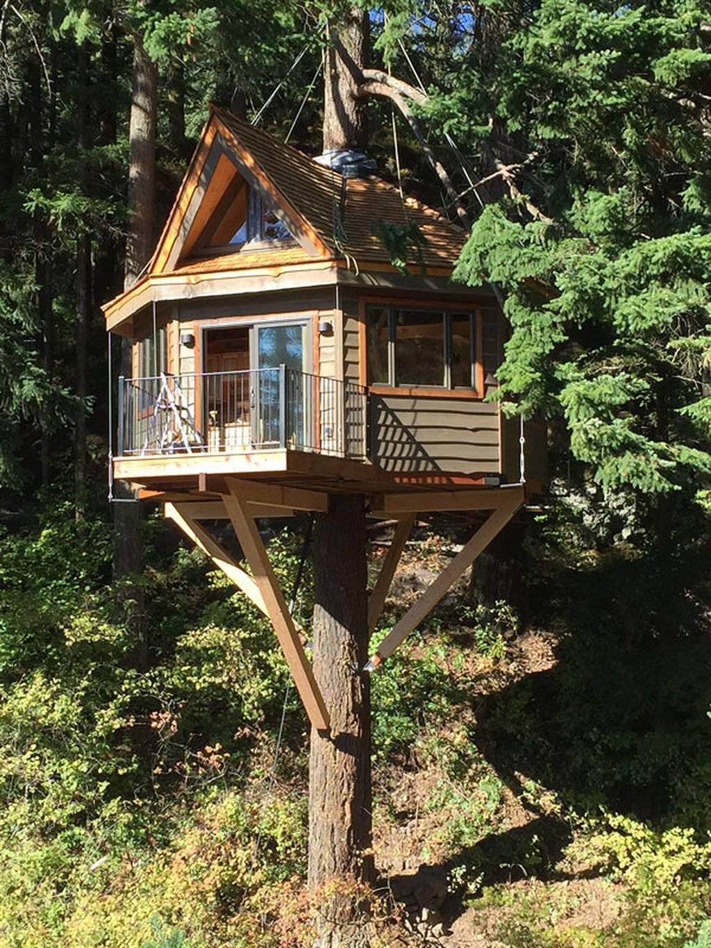 Какой дом высокий на дереве