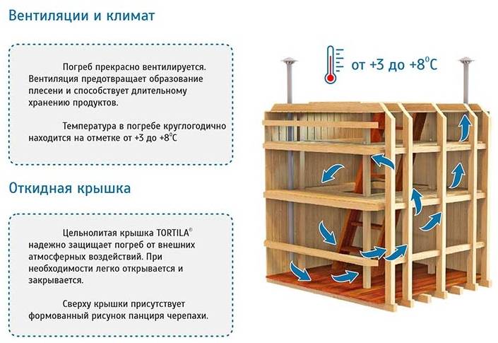 Храним овощи в погребе: советы от специалистов и опытных огородников