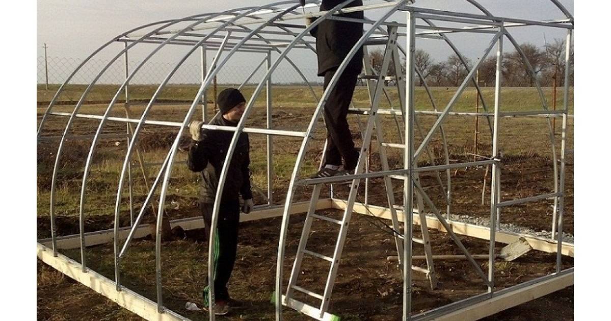 Установка теплицы из поликарбоната на брус: подготовка материалов, схемы монтажа, советы