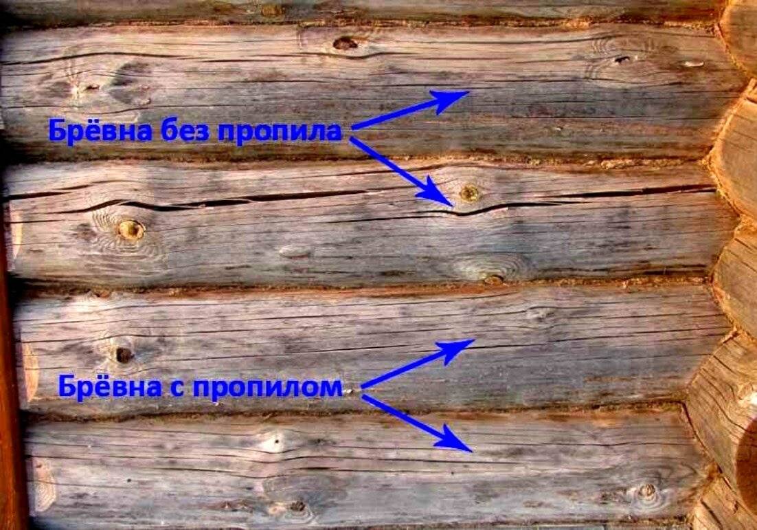 Чем лучше заделать трещины в бревнах сруба: обзор популярных способов, плюсы и минусы замазки, шпаклевки и герметика