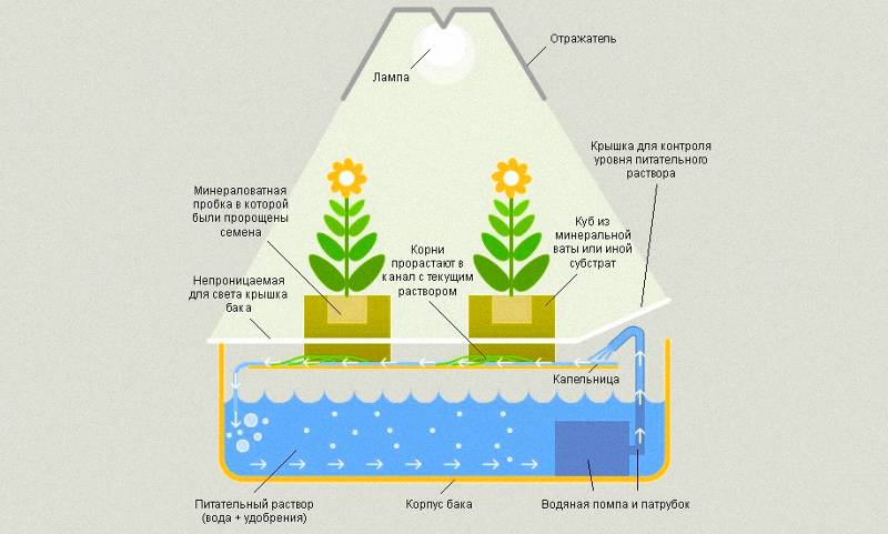 Гидропон текст. Схема вертикальной гидропонной установки. Схема установки гидропонной установки. Метод гидропоники. Гидропонная система схема.