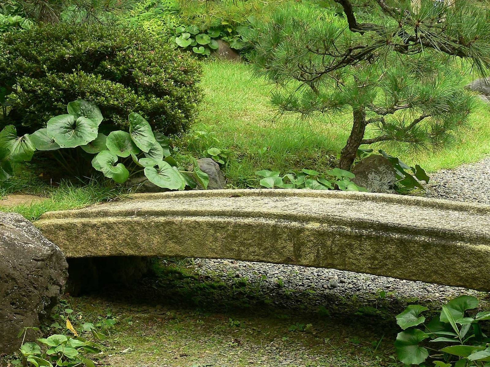 Сад камней мостик Япония