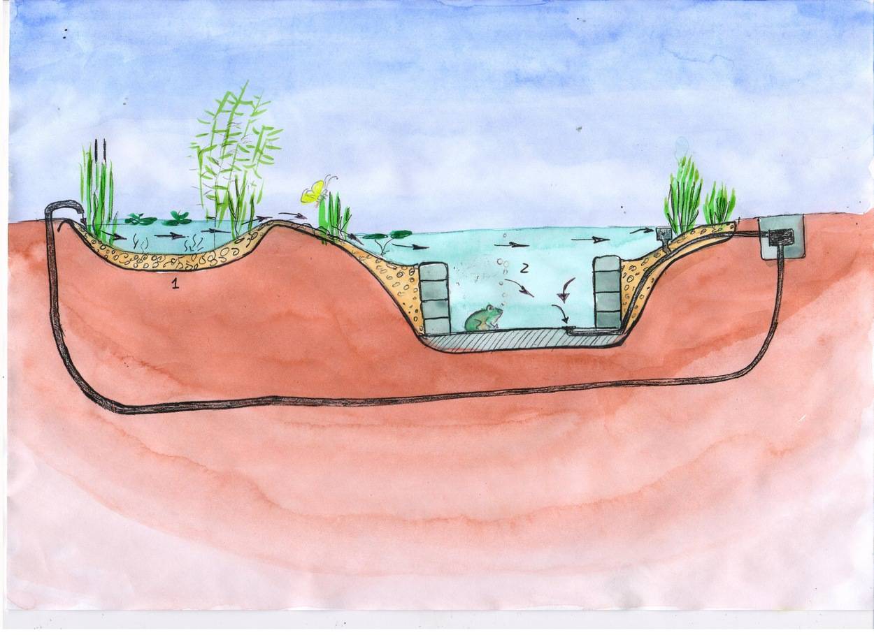 Пруд уходит вода. Биоплато для пруда схема. Ручей биоплато. Котлован для пруда с биоплато.