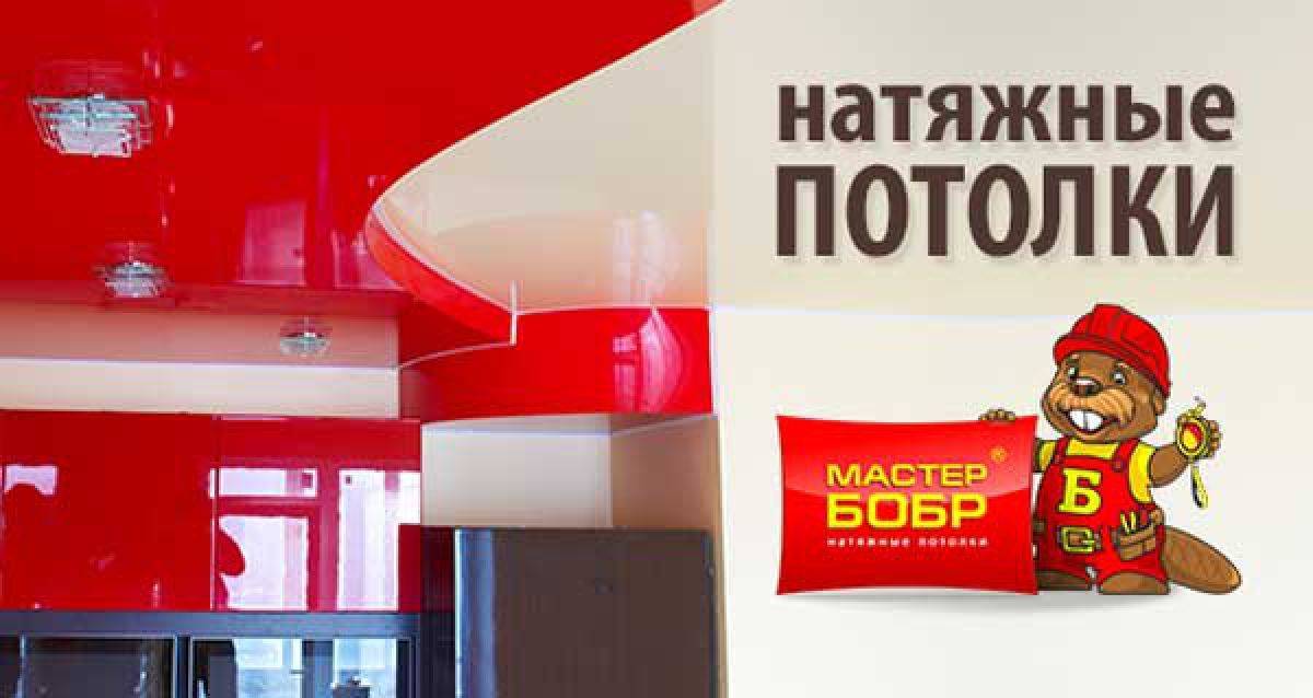 Натяжные потолки мастер бобр: обзор и описание компании