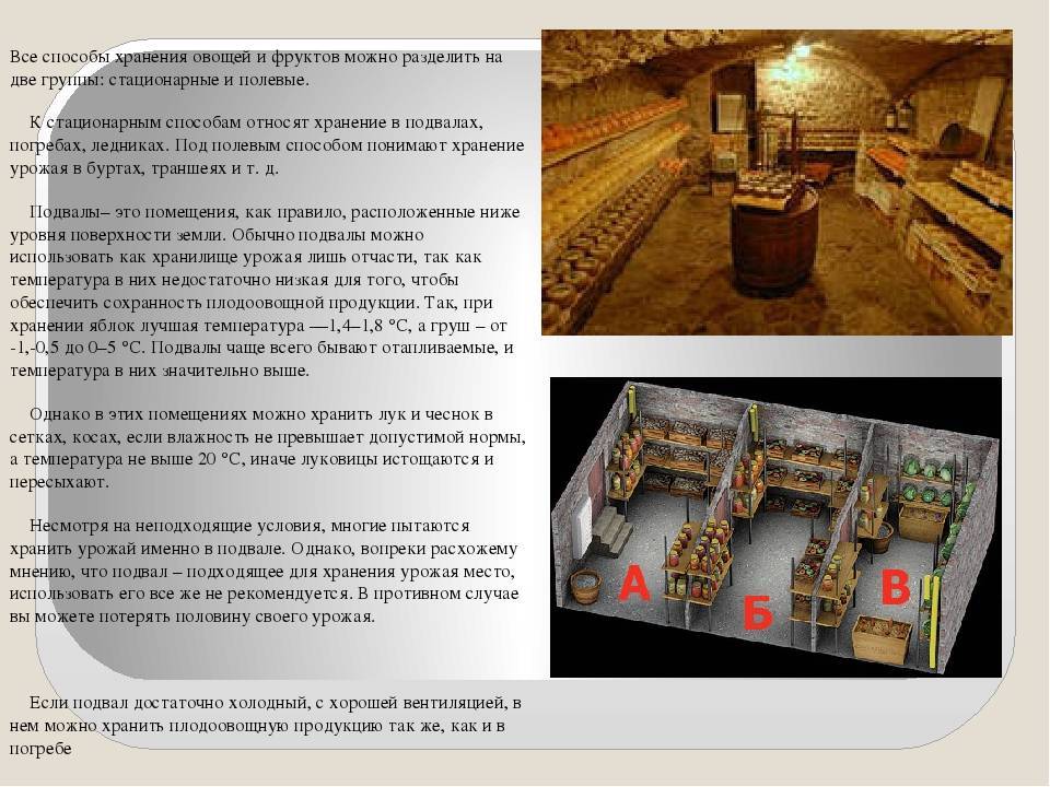Чем обработать и защитить погреб от плесени и грибка