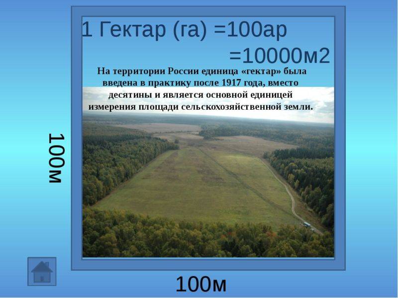 Сколько соток в 1 га земли
