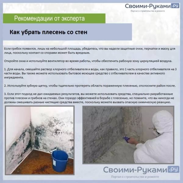 Лучшая защита древесины от влаги и гниения :: syl.ru
