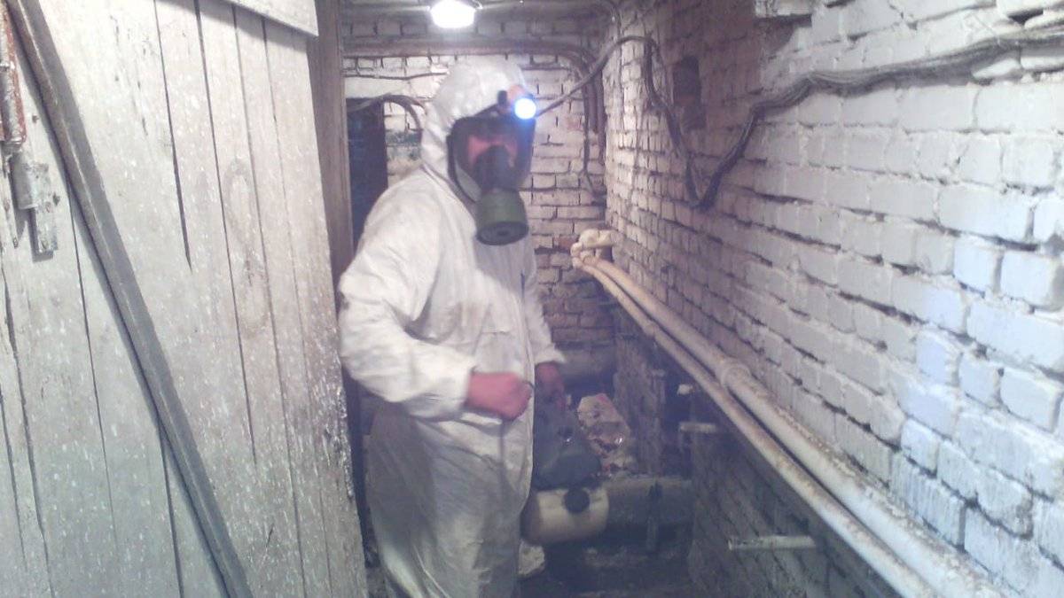 Как построить и оборудовать погреб для хранения овощей своими руками