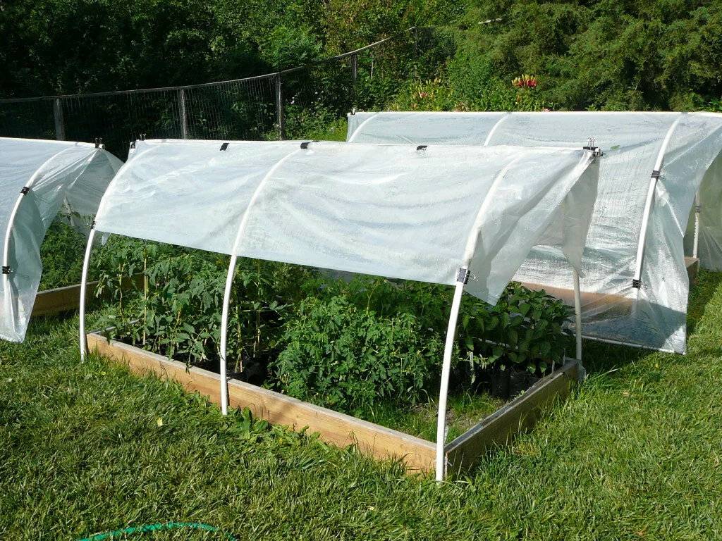Как защитить огород от жары
