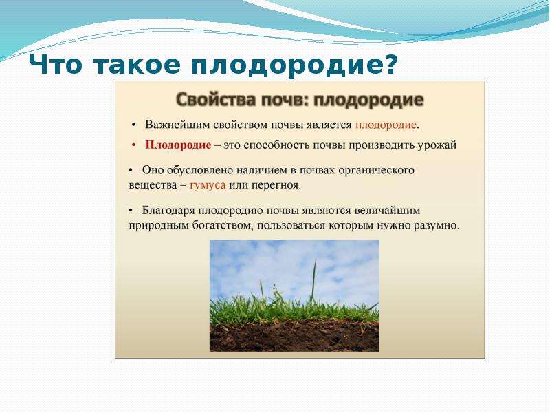Плодородие почв при движении к полюсам. Почва плодородие почвы. Плодородие почвы определяется. Плодородие почвы презентация. Методы повышения плодородия почвы.