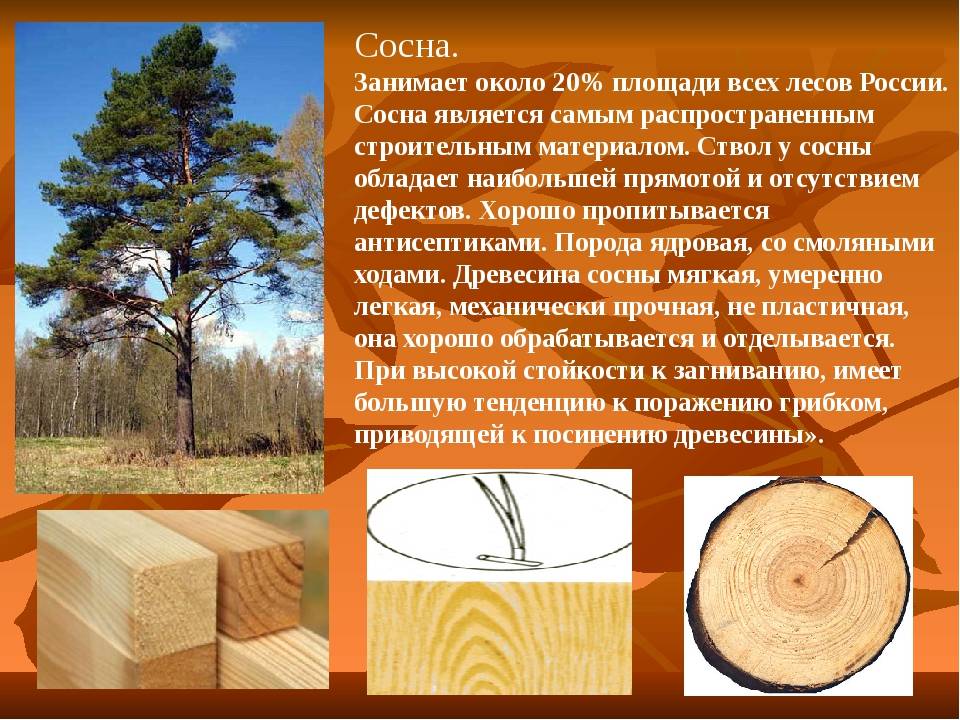 Почему американцы живут в просторных домах: ответ эксперта