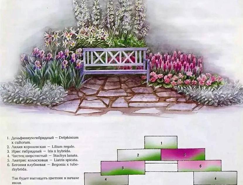 Миксбордер вдоль дорожки готовая схема