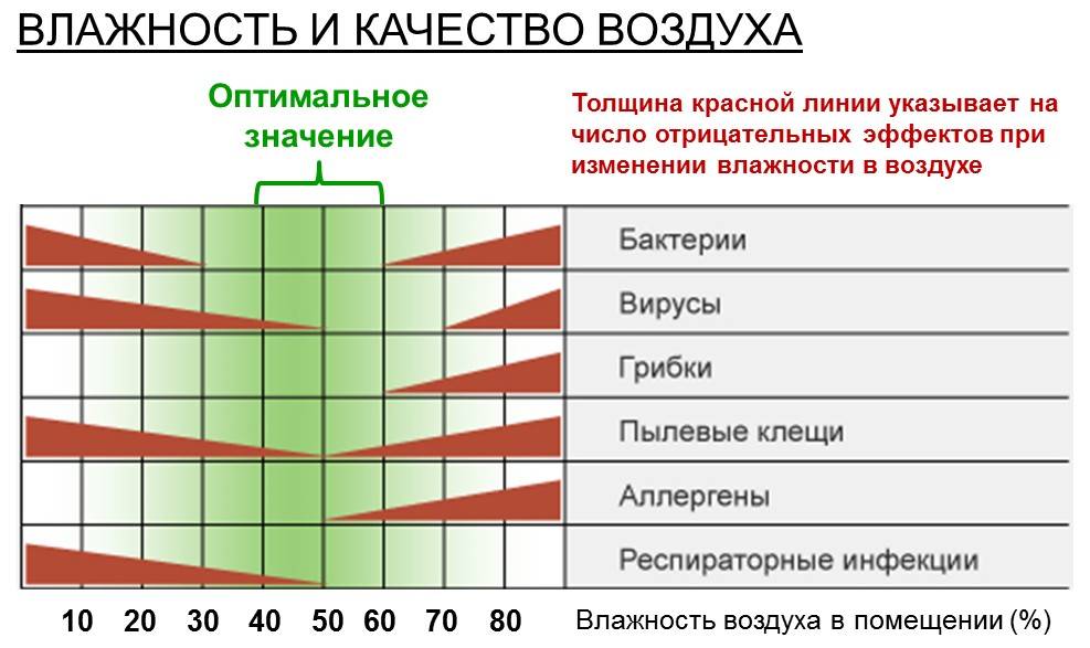 В каких странах сейчас зима? когда начинаются времена года в разных странах