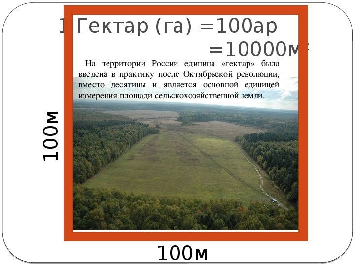 1 сотка земли на картинке