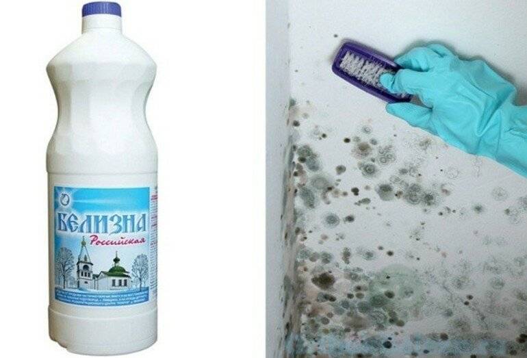 Как удалить черную плесень со стен в комнате или квартире: вывести грибок домашними средствами, как удалить при помощи специальных составов?