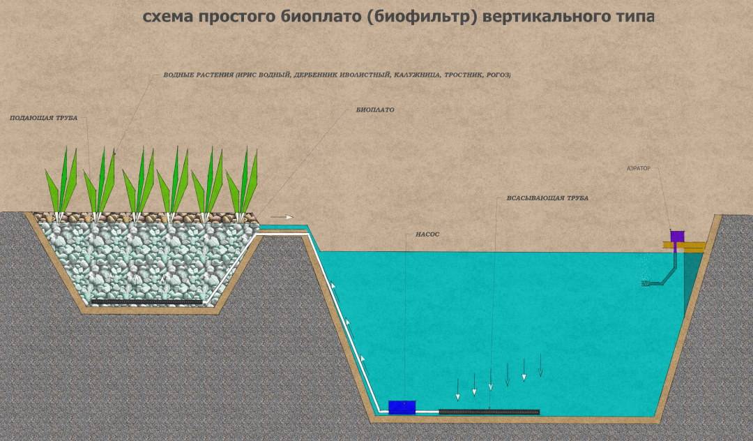 Проект очистки водоема