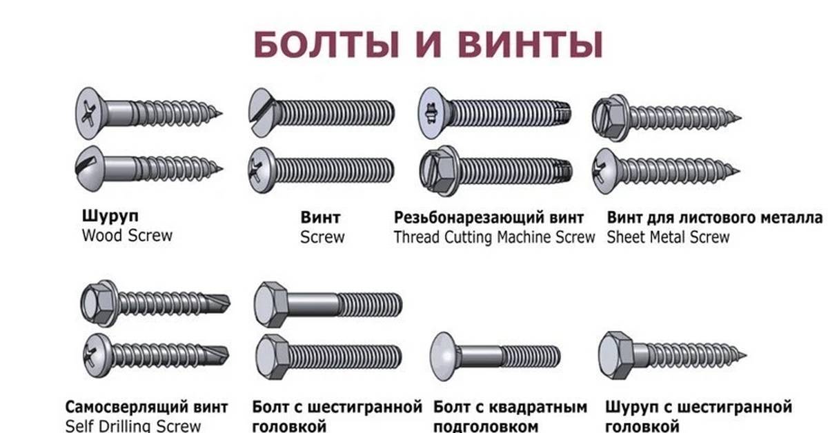 Виды винтов и болтов с картинками