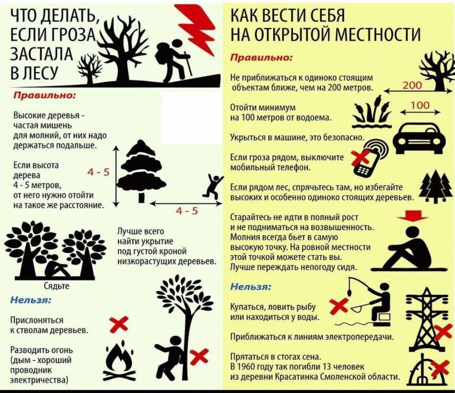 Что делать дальше картинка