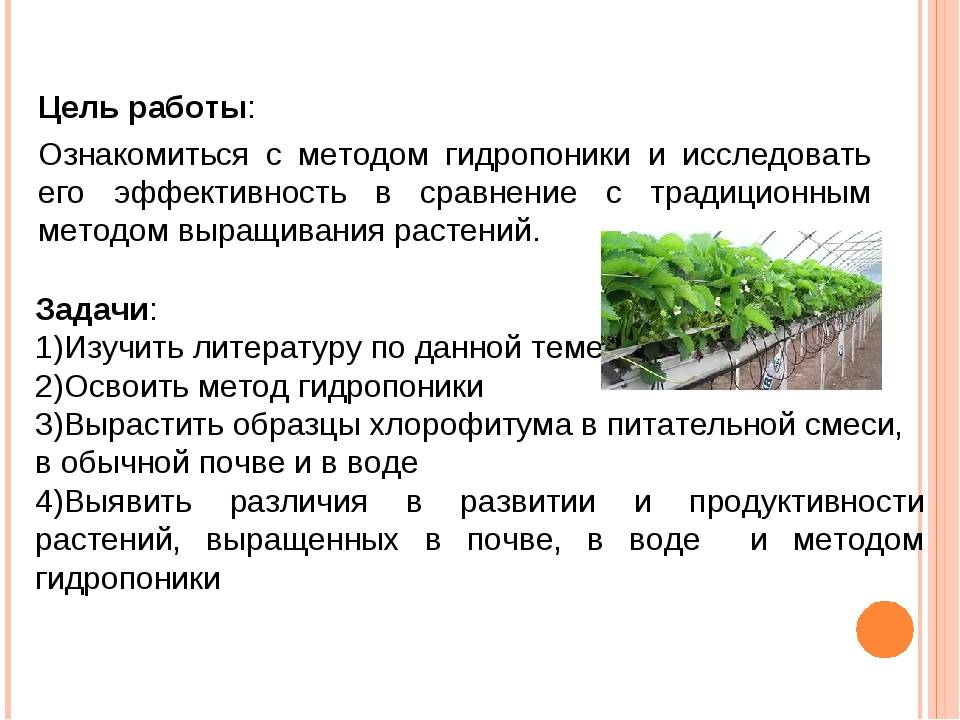 Зелень дома на гидропонике - схемы установок для выращивания своими руками