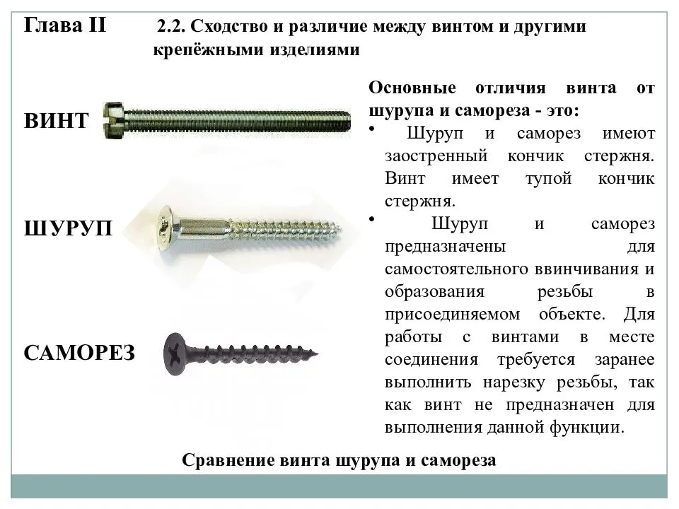 Виды винтов и болтов с картинками