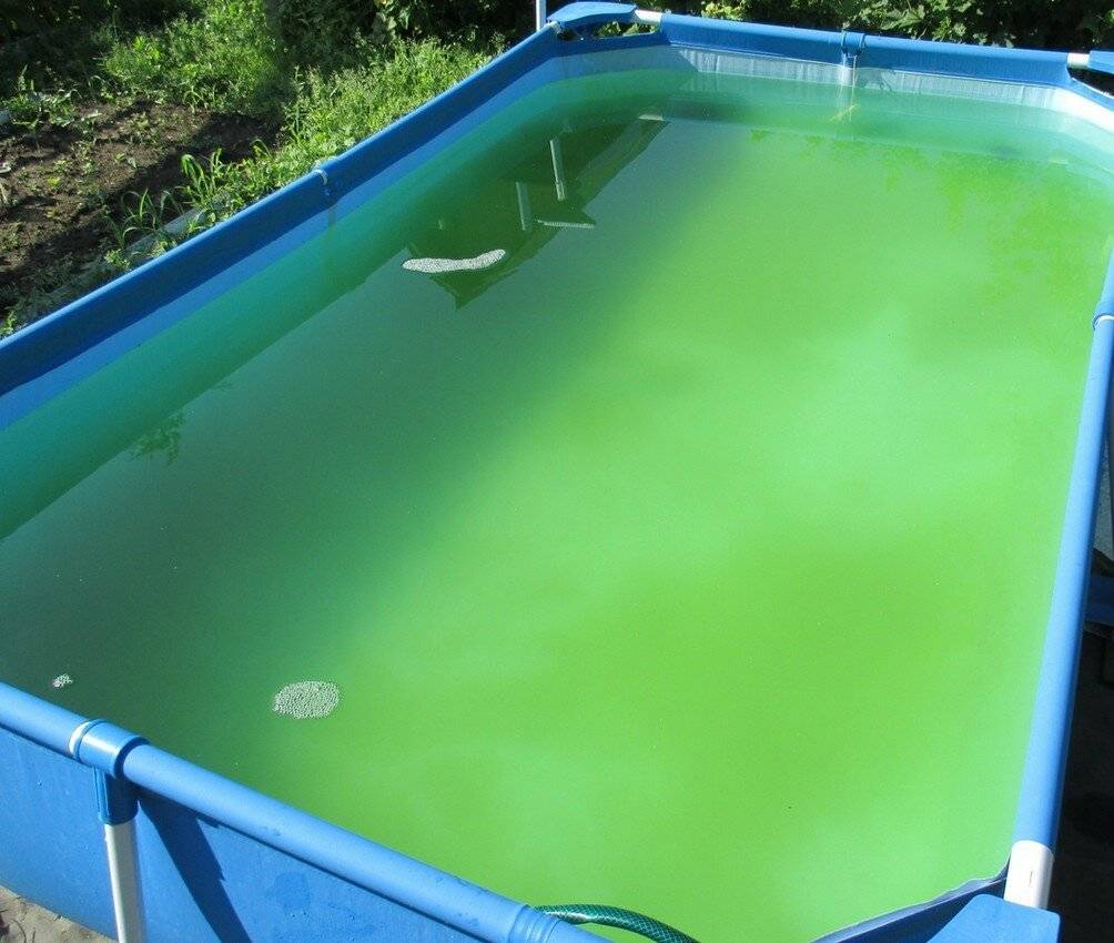 Что добавить в уличный бассейн, чтобы вода не цвела