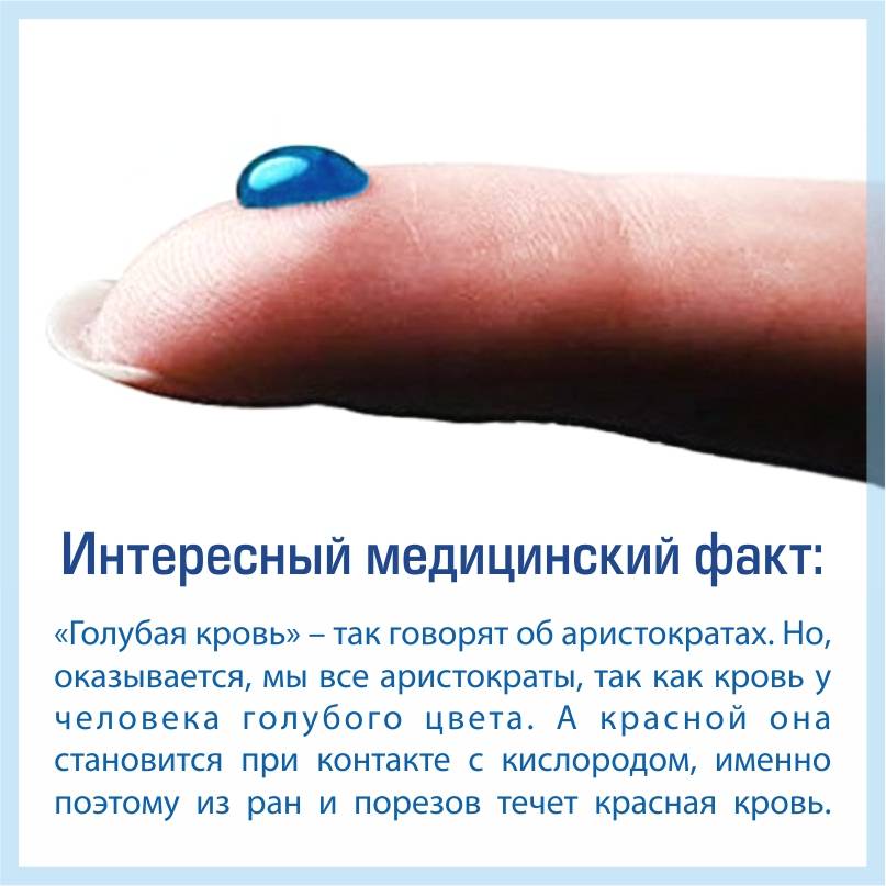 50 удивительных фактов о золоте, которые вы могли не знать