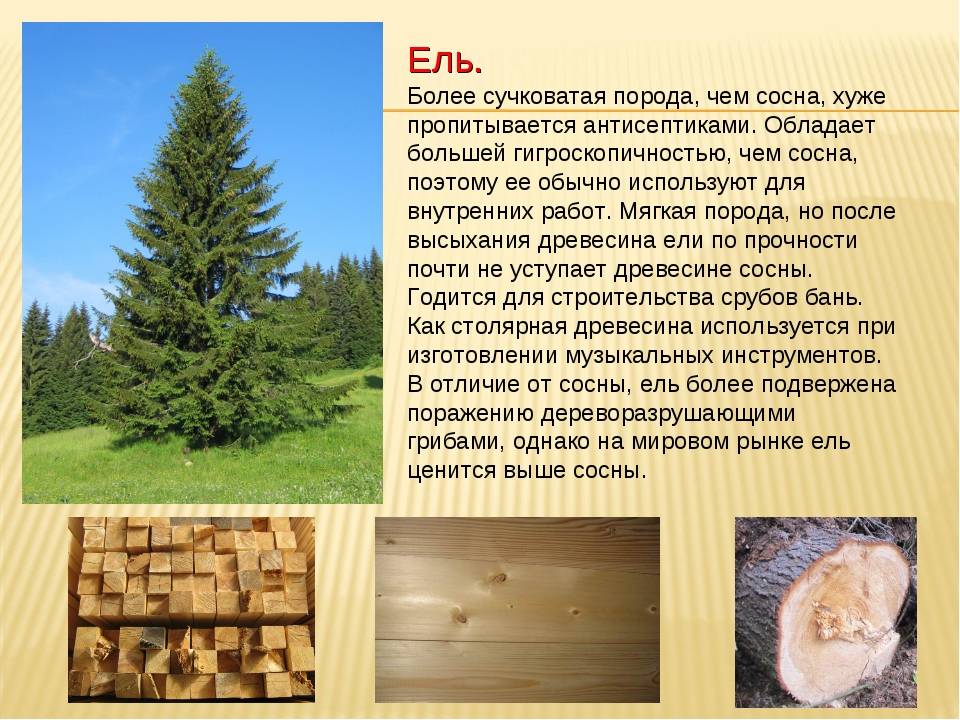 Почему американцы строят такие хлипкие дома: фото, интересно знать