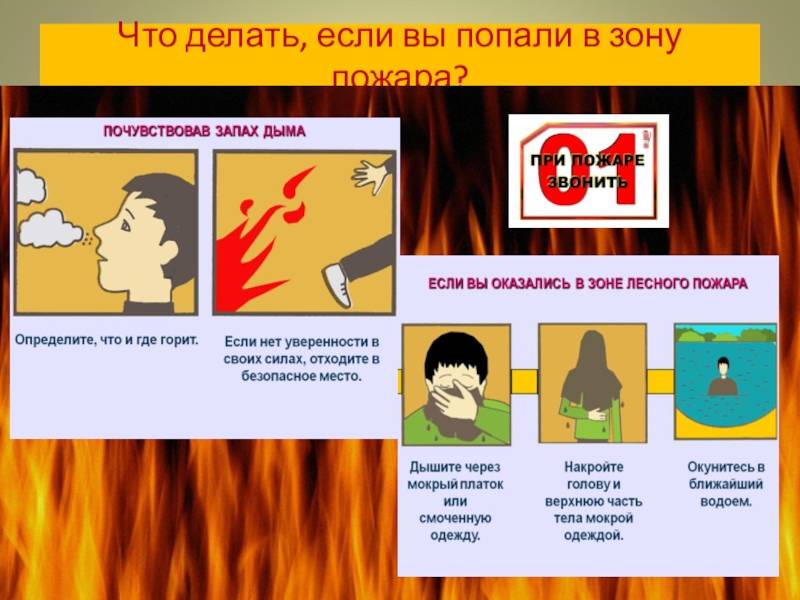 Основные правила поведения при пожаре - разбираем детально