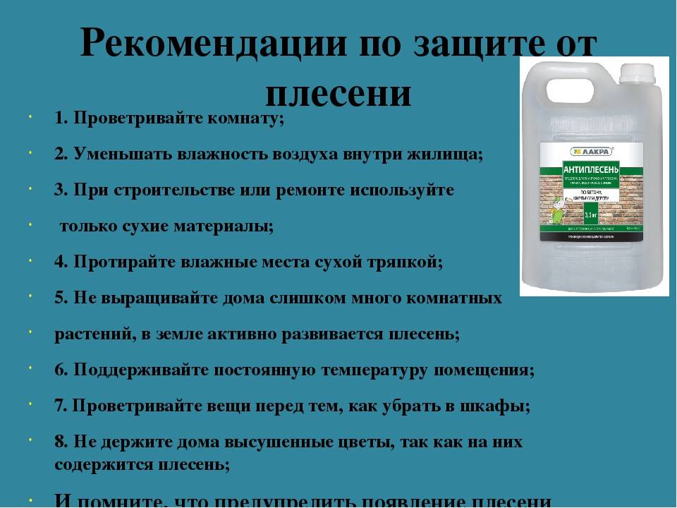 Топ-3 способа как избавится от грибка и плесени в помещение