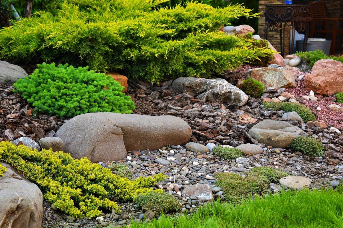 Рокарий в ландшафтном дизайне: японский, хвойный, фотографии, как сделать рокарий, схемы растений, названия цветов - 29 фото
