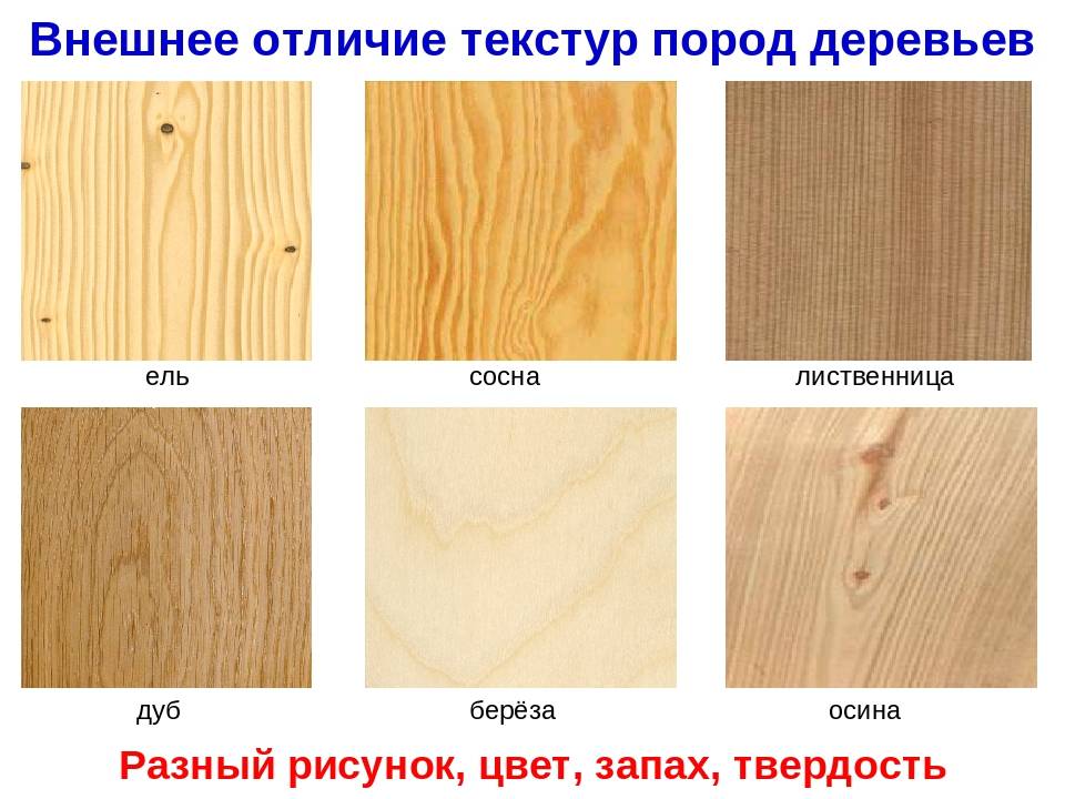 Из какой древесины лучше строить баню: кедр, лиственница или липа
