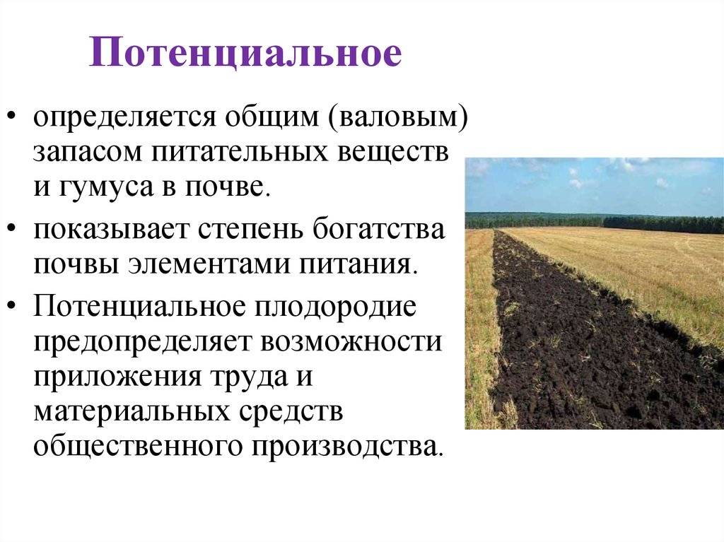 Анализ почвы: методы исследования свойств и состава, как проходит процесс