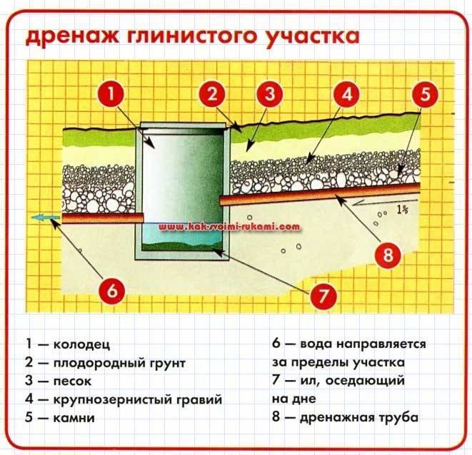 Дренаж на дачном участке: самый простой способ своими руками, схемы и дизайн ландшафта