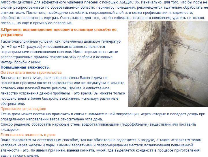 Борьба с сыростью и конденсатом в доме и на даче