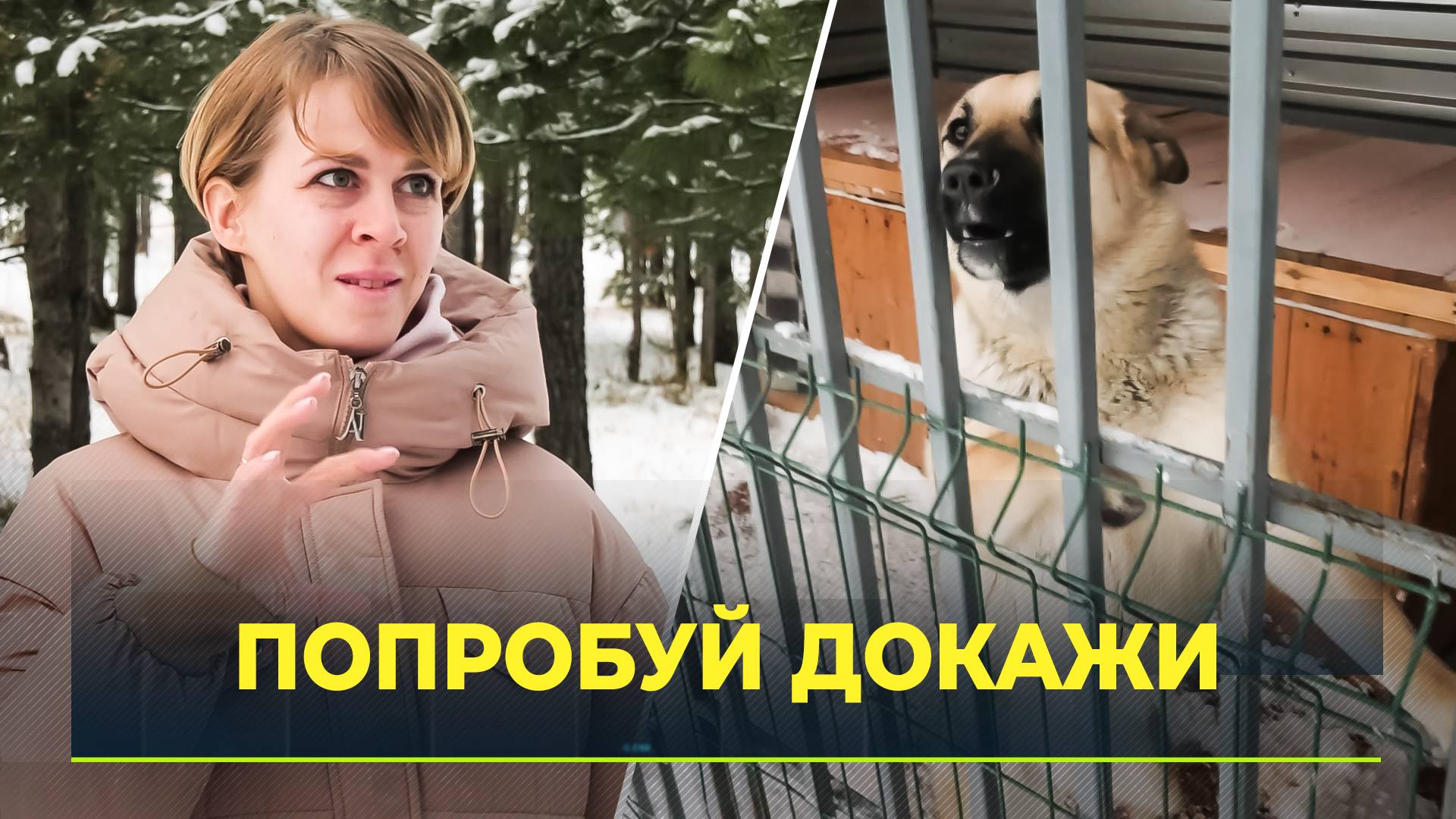 Биография и личная жизнь ведущей канала на дзене 8 раз мама, ее муж и успех