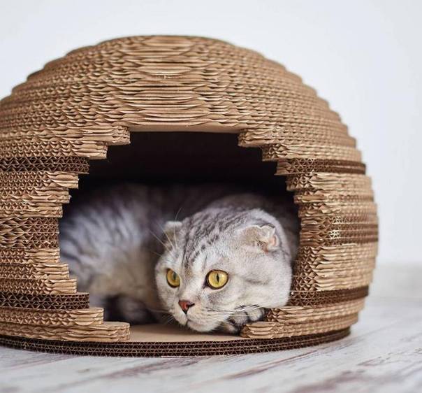 Домик из фанеры для кота своими руками: чертежи, фото и размеры