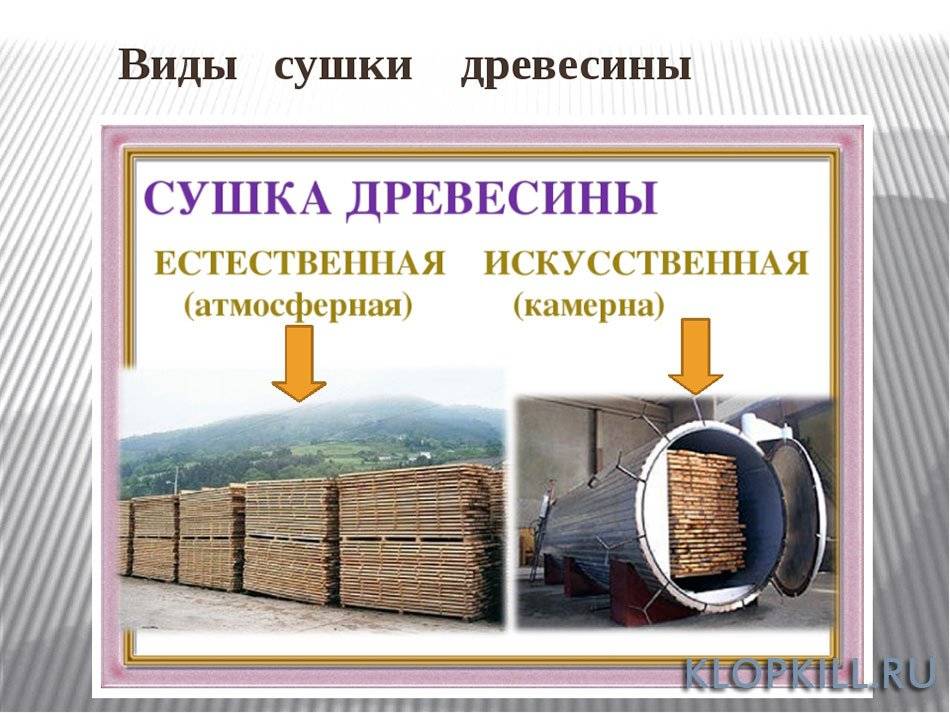 Сколько сохнет доска (пиломатериал) в разных климатических зонах