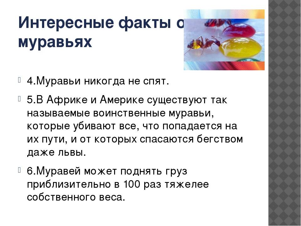 ???? узнайте, зачем молотоголовой акуле молоток и как она его использует